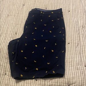 Banana Republic Shorts like new